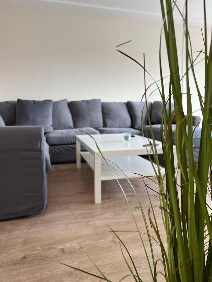 Mimi'S Ostseeglueck - Haus Seebad 格洛米茨 外观 照片